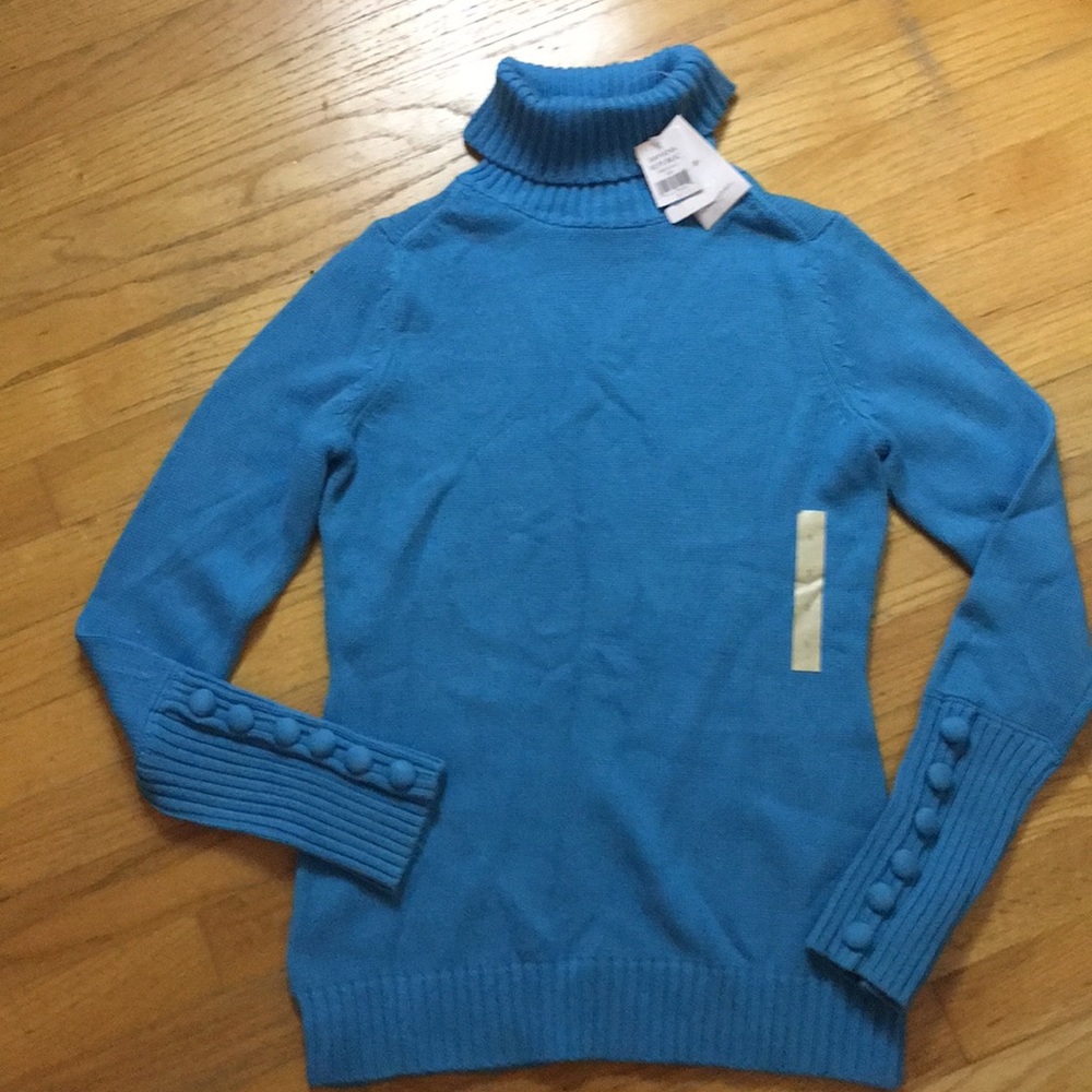 Banana Republic Light Blue Turtle Neck Sweater